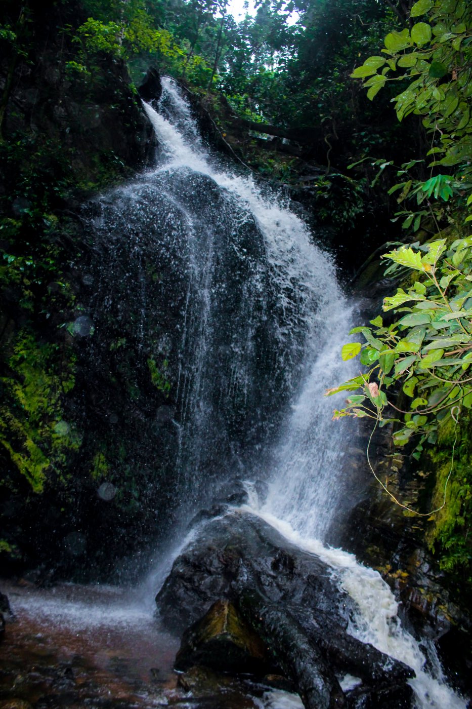 Erin-Ijesha Waterfalls